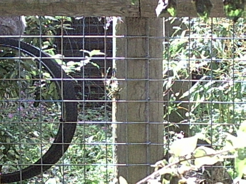 PIC00012.JPG