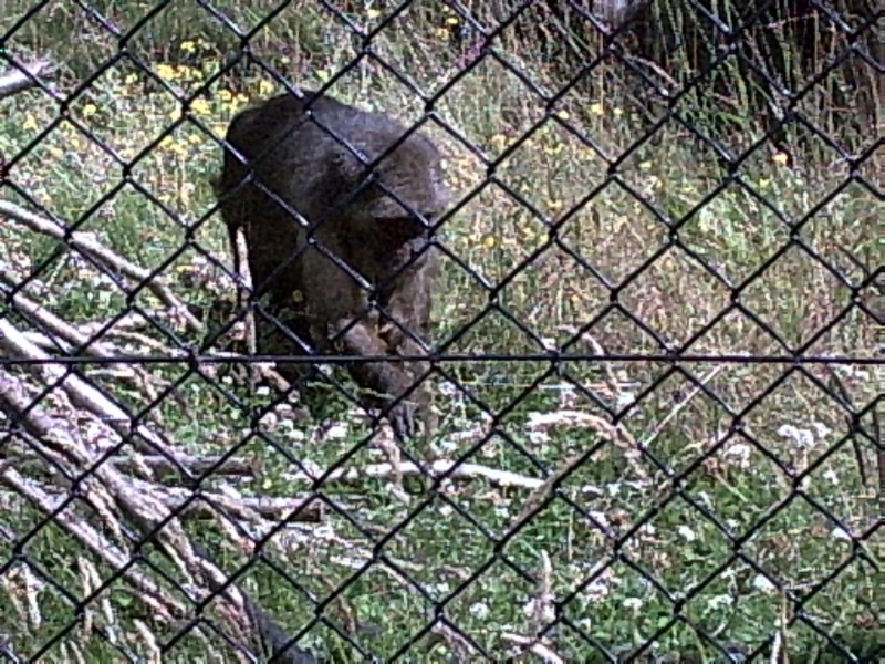 PIC00028.JPG