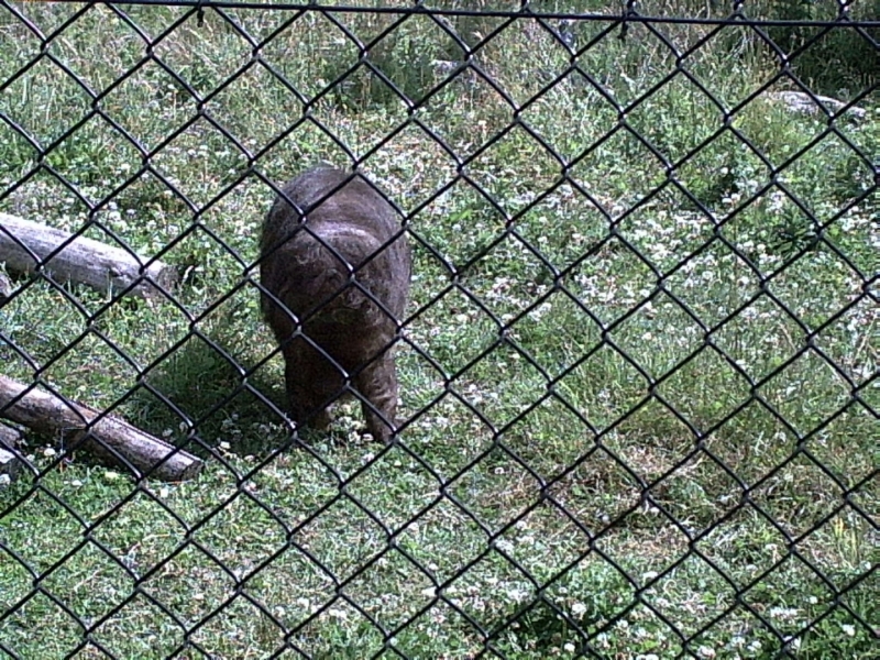 PIC00030.JPG